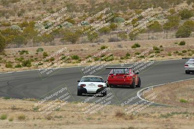 media/May-03-2025-Lucky Dog Racing (Sat) [[206de64b9d]]/Turn 2 (1020am-1120am)/